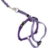 PetSafe Come With Me Kitty Nylon Cat Harness & Bungee Leash -Cat Pet Supplies 67153 MAIN. AC SS1800 V1671742681