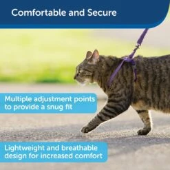 PetSafe Come With Me Kitty Nylon Cat Harness & Bungee Leash -Cat Pet Supplies 67153 PT2. AC SS1800 V1601010073
