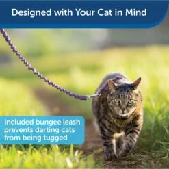 PetSafe Come With Me Kitty Nylon Cat Harness & Bungee Leash -Cat Pet Supplies 67153 PT4. AC SS1800 V1601000459
