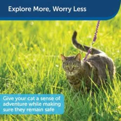 PetSafe Come With Me Kitty Nylon Cat Harness & Bungee Leash -Cat Pet Supplies 67153 PT5. AC SS1800 V1601018758