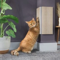 Way Basics Eco ZBoard Corner Wall Cat Scratching Pad 6 Way Basics Eco ZBoard Corner Wall Cat Scratching Pad -Cat Pet Supplies 675318 PT1. AC SS1800 V1665781228