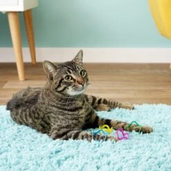 Fat Cat Crazies Playrings Cat Toy -Cat Pet Supplies 68548 PT5. AC SS1800 V1525719550