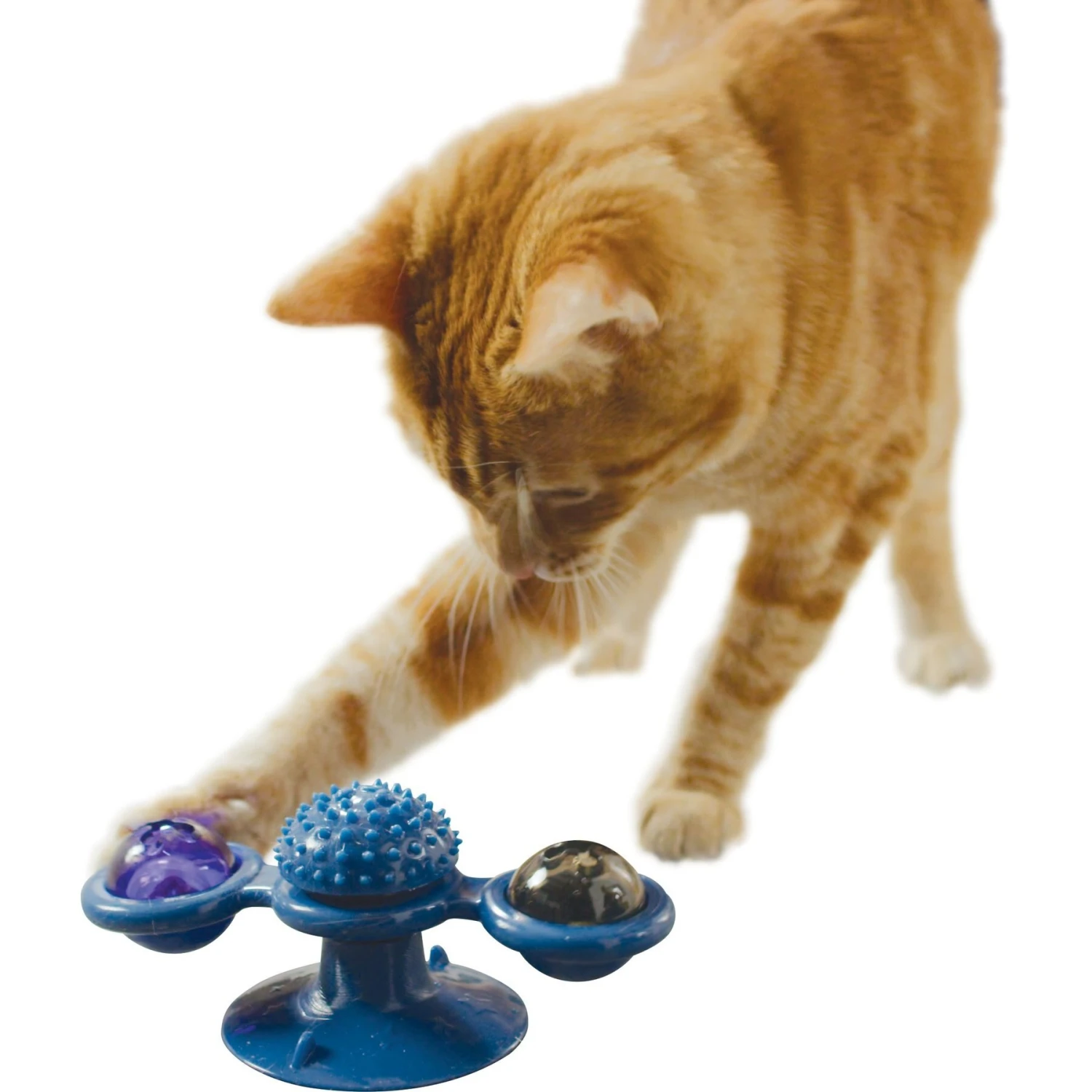Pets Know Best Purrfect Spinner Cat Toy, Blue 4 Pets Know Best Purrfect Spinner Cat Toy, Blue - Image 2