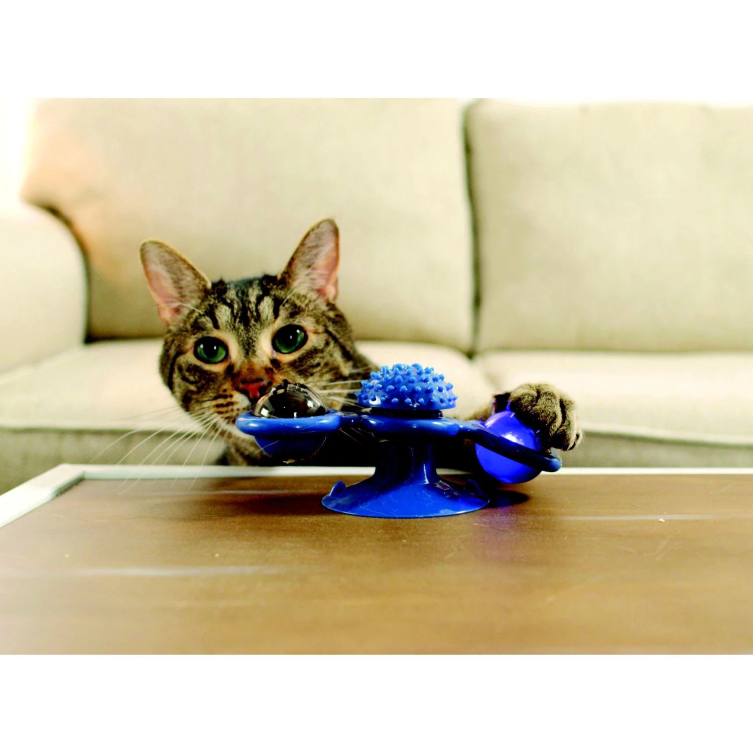 Pets Know Best Purrfect Spinner Cat Toy, Blue 5 Pets Know Best Purrfect Spinner Cat Toy, Blue - Image 3