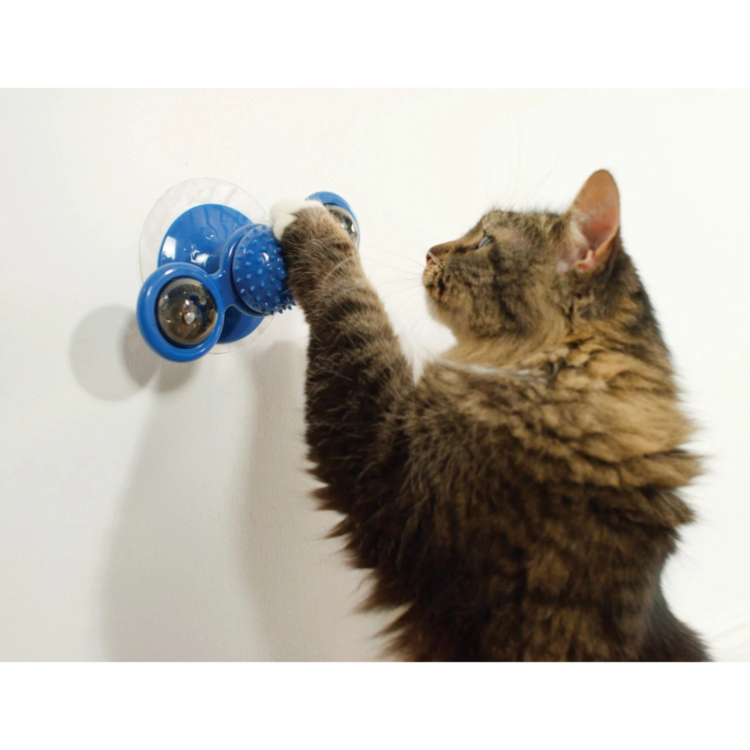 Pets Know Best Purrfect Spinner Cat Toy, Blue 6 Pets Know Best Purrfect Spinner Cat Toy, Blue - Image 4