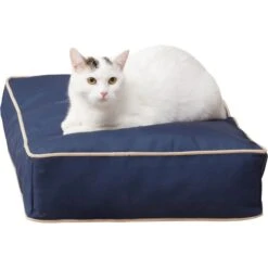 Happy Hounds Stella Indoor/Outdoor Rectangle Cat Bed -Cat Pet Supplies 692070 PT1. AC SS1800 V1698939394