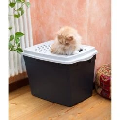 Ferplast "Jumpy" With Top Entrance Cat Litter Box, Black, Large 13 Ferplast "Jumpy" With Top Entrance Cat Litter Box, Black, Large -Cat Pet Supplies 703926 PT5. AC SS1800 V1668458444