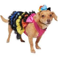 Frisco Ruffle Party Dog & Cat Dress + Headpiece -Cat Pet Supplies 707350 PT2. AC SS1800 V1689278779