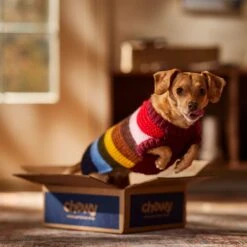 Frisco Chunky Knit Multi-Stripe Dog & Cat Sweater -Cat Pet Supplies 718662 PT7. AC SS1800 V1692378219