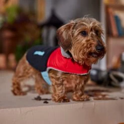 Frisco Medium Weight Retro Colorblock Mixed Media Dog & Cat Coat -Cat Pet Supplies 719462 PT7. AC SS1800 V1692379031