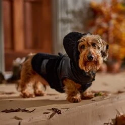 Frisco Medium Weight Faux Leather Dog & Cat Parka With Faux Fur Trimmed Hood, Black -Cat Pet Supplies 719798 PT7. AC SS1800 V1692376307