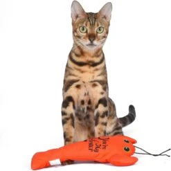 Fetch For Pets Friends You're My Lobster Kicker Plush Cat Toy With Catnip -Cat Pet Supplies 729182 PT3. AC SS1800 V1682608378