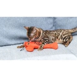 Fetch For Pets Friends You're My Lobster Kicker Plush Cat Toy With Catnip -Cat Pet Supplies 729182 PT4. AC SS1800 V1682622128