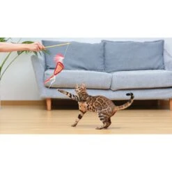 Fetch For Pets Friends Joey Loves Food Wand Cat Toy With Catnip 11 Fetch For Pets Friends Joey Loves Food Wand Cat Toy With Catnip -Cat Pet Supplies 729214 PT4. AC SS1800 V1682628495