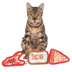 Fetch For Pets Friends Pizza, Cat, Lobster Canvas Toy Plush Cat Toy With Catnip, 3 Count 10 Fetch For Pets Friends Pizza, Cat, Lobster Canvas Toy Plush Cat Toy With Catnip, 3 Count -Cat Pet Supplies 729230 PT3. AC SS1800 V1682609331