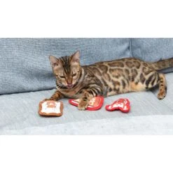 Fetch For Pets Friends Pizza, Cat, Lobster Canvas Toy Plush Cat Toy With Catnip, 3 Count 11 Fetch For Pets Friends Pizza, Cat, Lobster Canvas Toy Plush Cat Toy With Catnip, 3 Count -Cat Pet Supplies 729230 PT4. AC SS1800 V1682609303