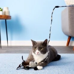 JW Pet Cataction Ball With Wand Cat Toy -Cat Pet Supplies 73759 PT5. AC SS1800 V1525719222