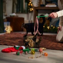 Frisco Holiday Cozy Christmas Sack Variety Pack Cat Toy With Catnip 10 Frisco Holiday Cozy Christmas Sack Variety Pack Cat Toy With Catnip -Cat Pet Supplies 740054 PT3. AC SS1800 V1694812461