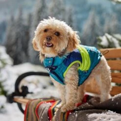 Frisco Heavy Weight Urban City Colorblock Dog & Cat Parka With Sherpa Lining -Cat Pet Supplies 742262 PT7. AC SS1800 V1692378161