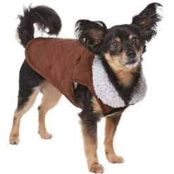 Frisco Medium Weight Quilted Dog & Cat Coat With Cozy Sherpa Lining -Cat Pet Supplies 744310 PT2. AC SS1800 V1703194386