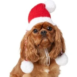 Frisco Chunky Knit Santa Dog & Cat Hat 11 Frisco Chunky Knit Santa Dog & Cat Hat -Cat Pet Supplies 744878 PT2. AC SS1800 V1694812755