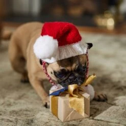 Frisco Chunky Knit Santa Dog & Cat Hat 14 Frisco Chunky Knit Santa Dog & Cat Hat -Cat Pet Supplies 744878 PT5. AC SS1800 V1694793814