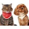 Frisco Reversible Candy Cane Cozy Knit Faux Fur Dog & Cat Pullover Bandana, 1 Count 2 Frisco Reversible Candy Cane Cozy Knit Faux Fur Dog & Cat Pullover Bandana, 1 Count -Cat Pet Supplies 745294 MAIN. AC SS1800 V1694813782
