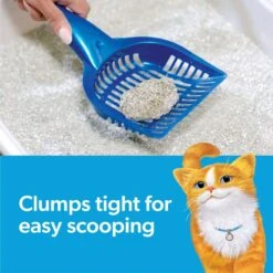 Fresh Step Extreme Odor Control Febreze Scented Clumping Clay Cat Litter -Cat Pet Supplies 75561 PT4. AC SS1800 V1694465216