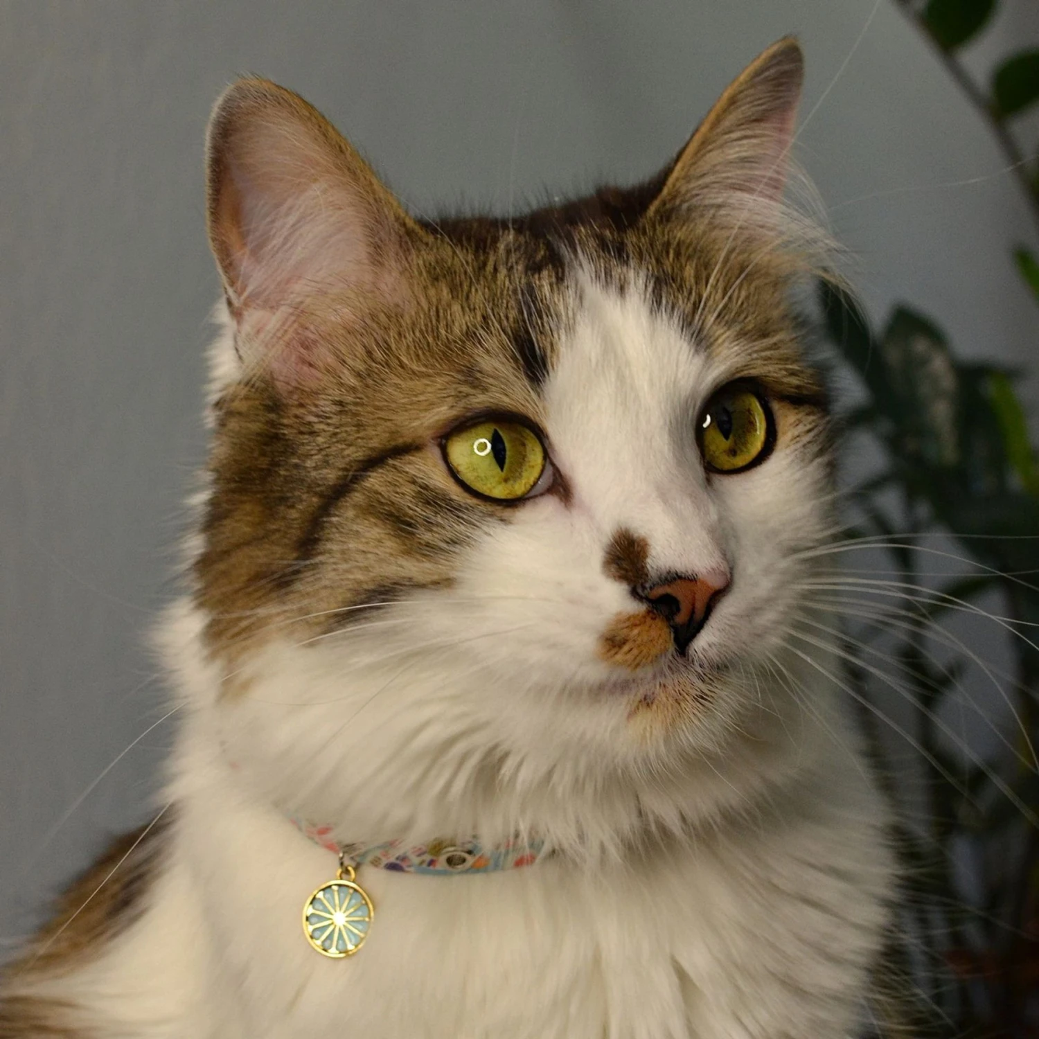 Necoichi Sunny Blossoms Cat Collar 10 Necoichi Sunny Blossoms Cat Collar - Image 8