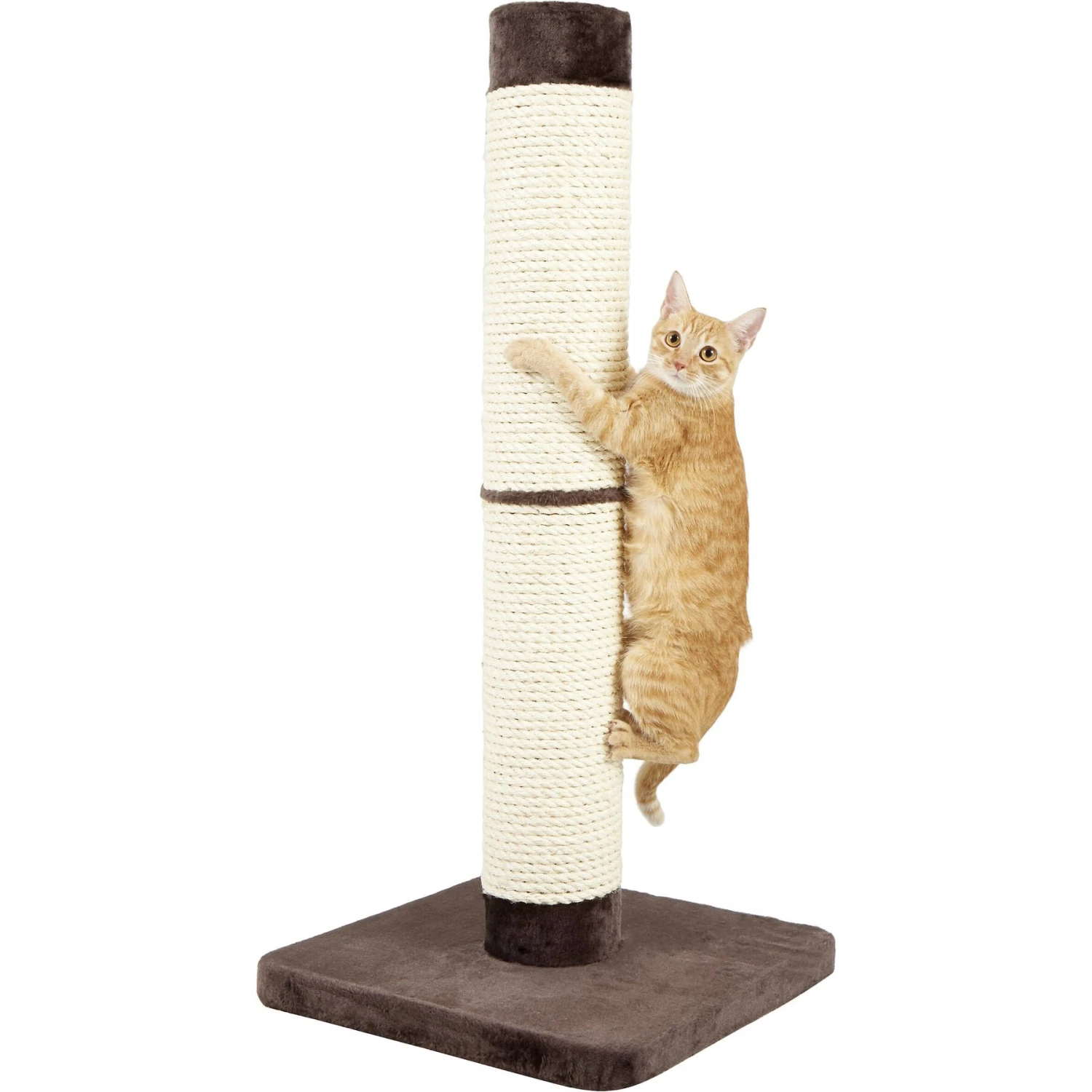 MidWest Feline Nuvo Grand Forte 41-in Cat Scratching Post 5 MidWest Feline Nuvo Grand Forte 41-in Cat Scratching Post - Image 3