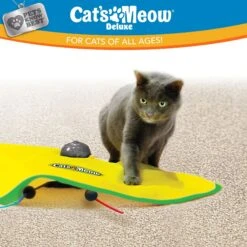 Cat's Meow Motorized Chaser Cat Toy 15 Cat's Meow Motorized Chaser Cat Toy -Cat Pet Supplies 804382 PT6. AC SS1800 V1678741860