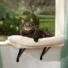 Frisco Plush Cat Window Perch With Removeable Bolster -Cat Pet Supplies 804630 MAIN. AC SS1800 V1695933061