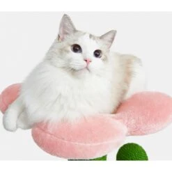 VETRESKA Blooming Cactus 41-in Cat Tree 13 VETRESKA Blooming Cactus 41-in Cat Tree -Cat Pet Supplies 805102 PT2. AC SS1800 V1680527793
