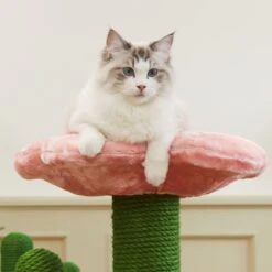 VETRESKA Blooming Cactus 41-in Cat Tree 19 VETRESKA Blooming Cactus 41-in Cat Tree -Cat Pet Supplies 805102 PT8. AC SS1800 V1680527837