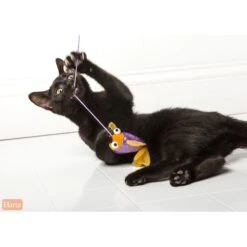 Hartz Just For Cats Gone Fishin' Cat Wand Toy With Catnip, Color Varies -Cat Pet Supplies 82858 PT3. AC SS1800 V1589229420