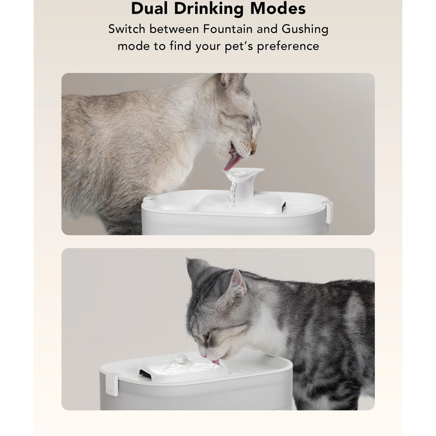 Petlibro Dockstream Wireless Pump Cat Water Fountain 8 Petlibro Dockstream Wireless Pump Cat Water Fountain - Image 6