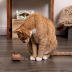 SmartyKat Instincts Meandering Mouse Motion Battery Powered Plush Cat Toy -Cat Pet Supplies 847062 PT2. AC SS1800 V1683730244