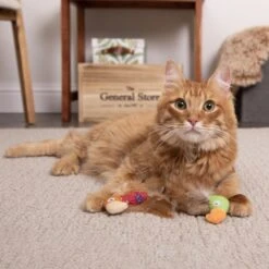 SmartyKat Instincts Love Mates Feathery Plush HappyNip Silvervine & Catnip Bird Cat Toys, 2-pack -Cat Pet Supplies 847110 PT2. AC SS1800 V1683729344