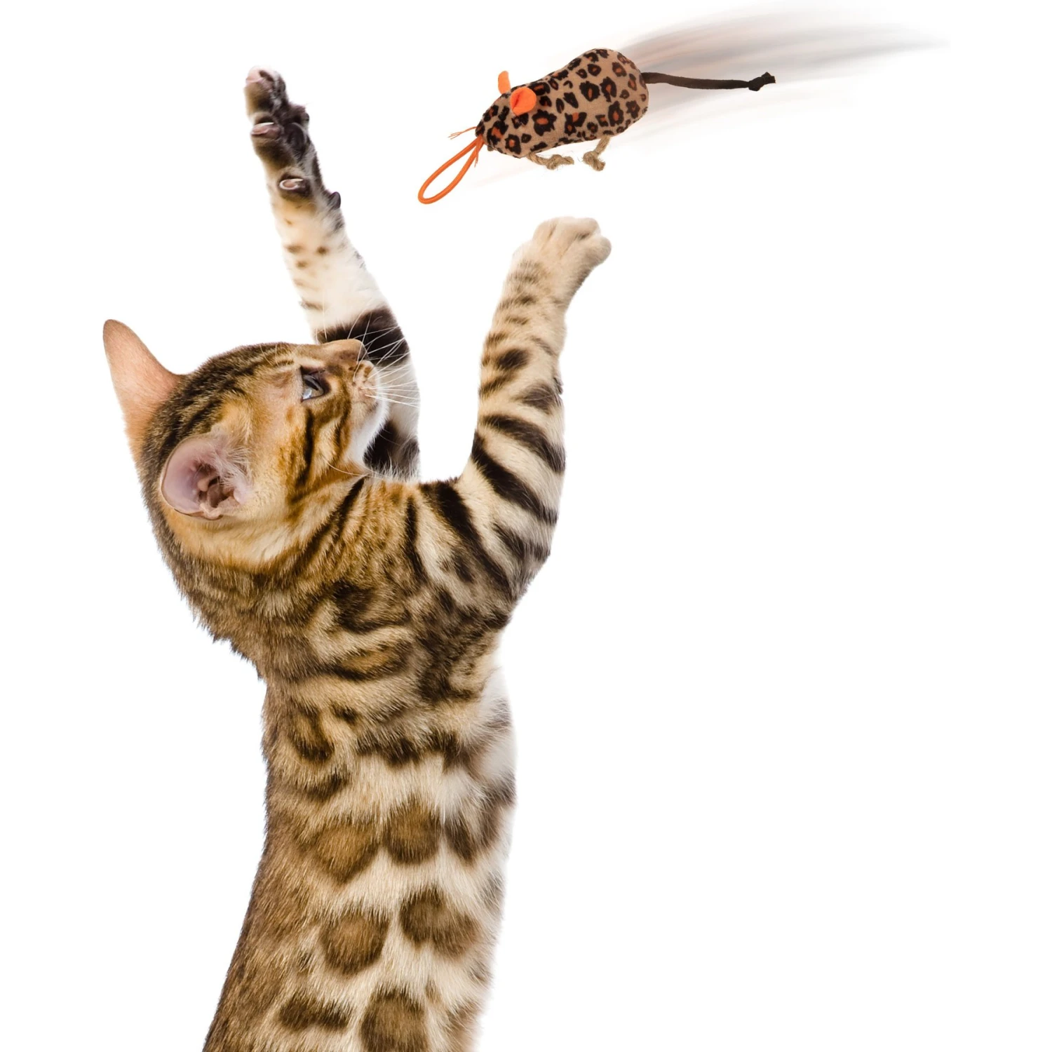 SmartyKat Instincts Safari Sneakers HappyNip Silvervine & Catnip Plush Cat Toys & Launcher Cat Toy, 3-pack & 1 Count 8 SmartyKat Instincts Safari Sneakers HappyNip Silvervine & Catnip Plush Cat Toys & Launcher Cat Toy, 3-pack & 1 Count - Image 6