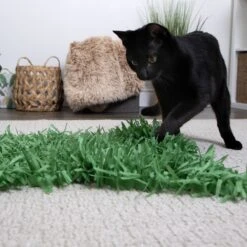 SmartyKat Instincts Meadow Mayhem Paper Grass Hide & Seek Cat Toy, 2-pack 11 SmartyKat Instincts Meadow Mayhem Paper Grass Hide & Seek Cat Toy, 2-pack -Cat Pet Supplies 847238 PT2. AC SS1800 V1683728598