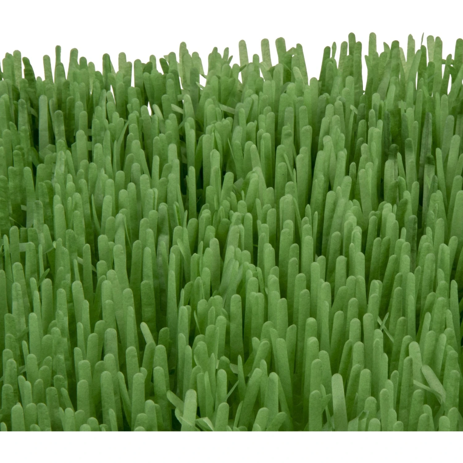 SmartyKat Instincts Meadow Mayhem Paper Grass Hide & Seek Cat Toy, 2-pack 8 SmartyKat Instincts Meadow Mayhem Paper Grass Hide & Seek Cat Toy, 2-pack - Image 6