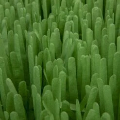 SmartyKat Instincts Meadow Mayhem Paper Grass Hide & Seek Cat Toy, 2-pack 15 SmartyKat Instincts Meadow Mayhem Paper Grass Hide & Seek Cat Toy, 2-pack -Cat Pet Supplies 847238 PT6. AC SS1800 V1683728572