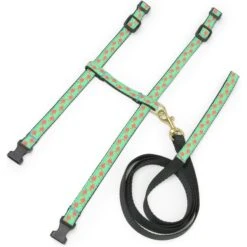 Up Country Tropical Fish Cat Harnes Set, Teal & Black