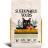 Sustainably Yours Large Grains Natural Cat Litter, 10-lb Bag 1 Sustainably Yours Large Grains Natural Cat Litter, 10-lb Bag -Cat Pet Supplies 864510 MAIN. AC SS1800 V1685637306