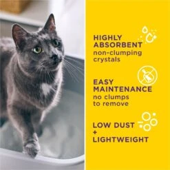 Tidy Cats Alert Health Monitoring Unscented Non-Clumping Cat Litter, 8-lb Bag 10 Tidy Cats Alert Health Monitoring Unscented Non-Clumping Cat Litter, 8-lb Bag -Cat Pet Supplies 871510 PT3. AC SS1800 V1700256917