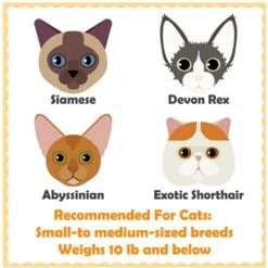 Yaheetech 57-in Cat Tree For Indoor Cats -Cat Pet Supplies 871742 PT4. AC SS1800 V1686250411