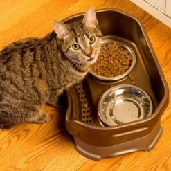 Neater Pets Neater Feeder Deluxe Elevated & Mess-Proof Cat Bowls, Bronze 12 Neater Pets Neater Feeder Deluxe Elevated & Mess-Proof Cat Bowls, Bronze -Cat Pet Supplies 89632 PT3. AC SS1800 V1672862674