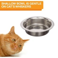 Neater Pets Neater Feeder Deluxe Elevated & Mess-Proof Cat Bowls, Bronze 15 Neater Pets Neater Feeder Deluxe Elevated & Mess-Proof Cat Bowls, Bronze -Cat Pet Supplies 89632 PT8. AC SS1800 V1631152287