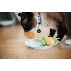 P.L.A.Y. Pet Lifestyle And You Feline Frenzy Purrfect Picnic Plush Squeaky Cat Toy, 2 Count -Cat Pet Supplies 897334 PT3. AC SS1800 V1689960578