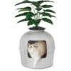 Bundle & Bliss Secret Litter Box Hidden Cat Litter Box Plant -Cat Pet Supplies 897430 MAIN. AC SS1800 V1687886027